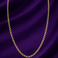 Classic Gold-Tone Oval Link Chain